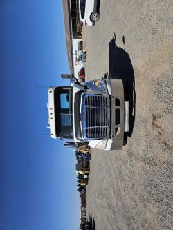 FREIGHTLINER CASCADIA 113