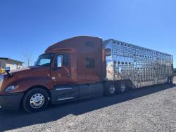 REMOLQUE GANADERO MERRIT DE 48 FT