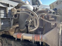 FREIGHTLINER CASCADIA 113