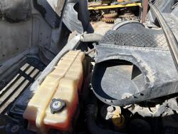 FREIGHTLINER CASCADIA 113