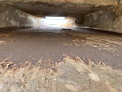 BANDA TRANSPORTADORA RBT SERVICES 3600