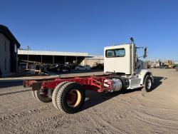 PETERBILT 365
