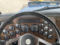 FLUSH BY RIG (WESTERN STAR 4900)