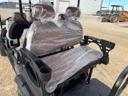 CARRO DE GOLF SDLANCH SDLGC100