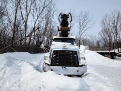 CAMION FREIGHTLINER 114SD CON GRUA ATLAS 345.2