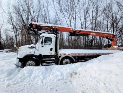 CAMION FREIGHTLINER 114SD CON GRUA ATLAS 345.2