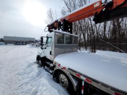 CAMION FREIGHTLINER 114SD CON GRUA ATLAS 345.2