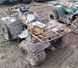 CATRIMOTO SUZUKI KING QUAD