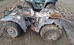 CATRIMOTO SUZUKI KING QUAD