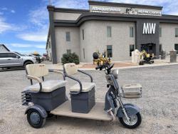 MOTO ELECTRICA IRANCH IRGC40