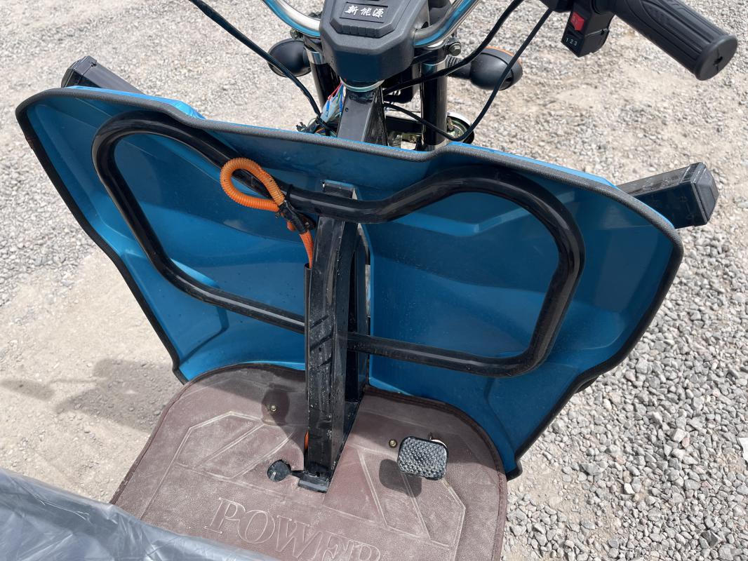 imagenes/INVOICE/2026/18745/ELECTRIC_TRICYCLE_11.JPG