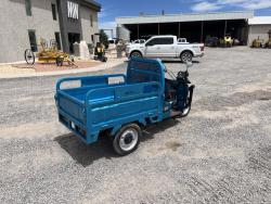 MOTO ELECTRICA IRANCH IRET13