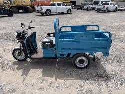 MOTO ELECTRICA IRANCH IRET13