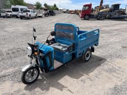 MOTO ELECTRICA IRANCH IRET13