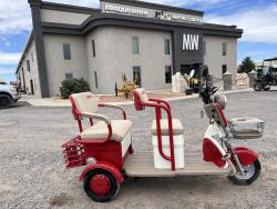 MOTO ELECTRICA IRANCH IRGC40