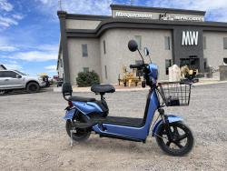 MOTO ELECTRICA SDLANCH IREV