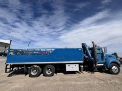 CAMION PETERBILT 348 CON GRUA AMCO VEBA V815