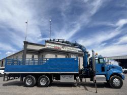 CAMION PETERBILT 348 CON GRUA AMCO VEBA V815