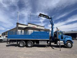 CAMION PETERBILT 348 CON GRUA AMCO VEBA V815