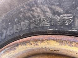 ESCREPA REYNOLDS 14C