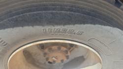 CAMION PIPA WESTERN STAR 4900 (DOT 407)