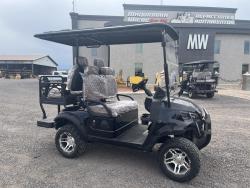 Carrito de golf Sdlanch SDLGC80