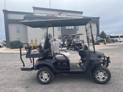 Carrito de golf electrico Sdlanch SDLGC80