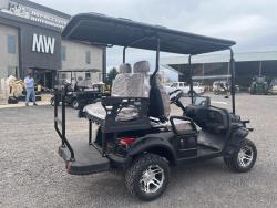 Carrito de golf electrico Sdlanch SDLGC80