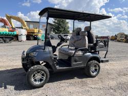 Carro de golf Sdlanch SDLGC80