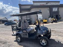 Carro de golf Sdlanch SDLGC80