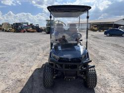 Carro de golf Sdlanch SDLGC80